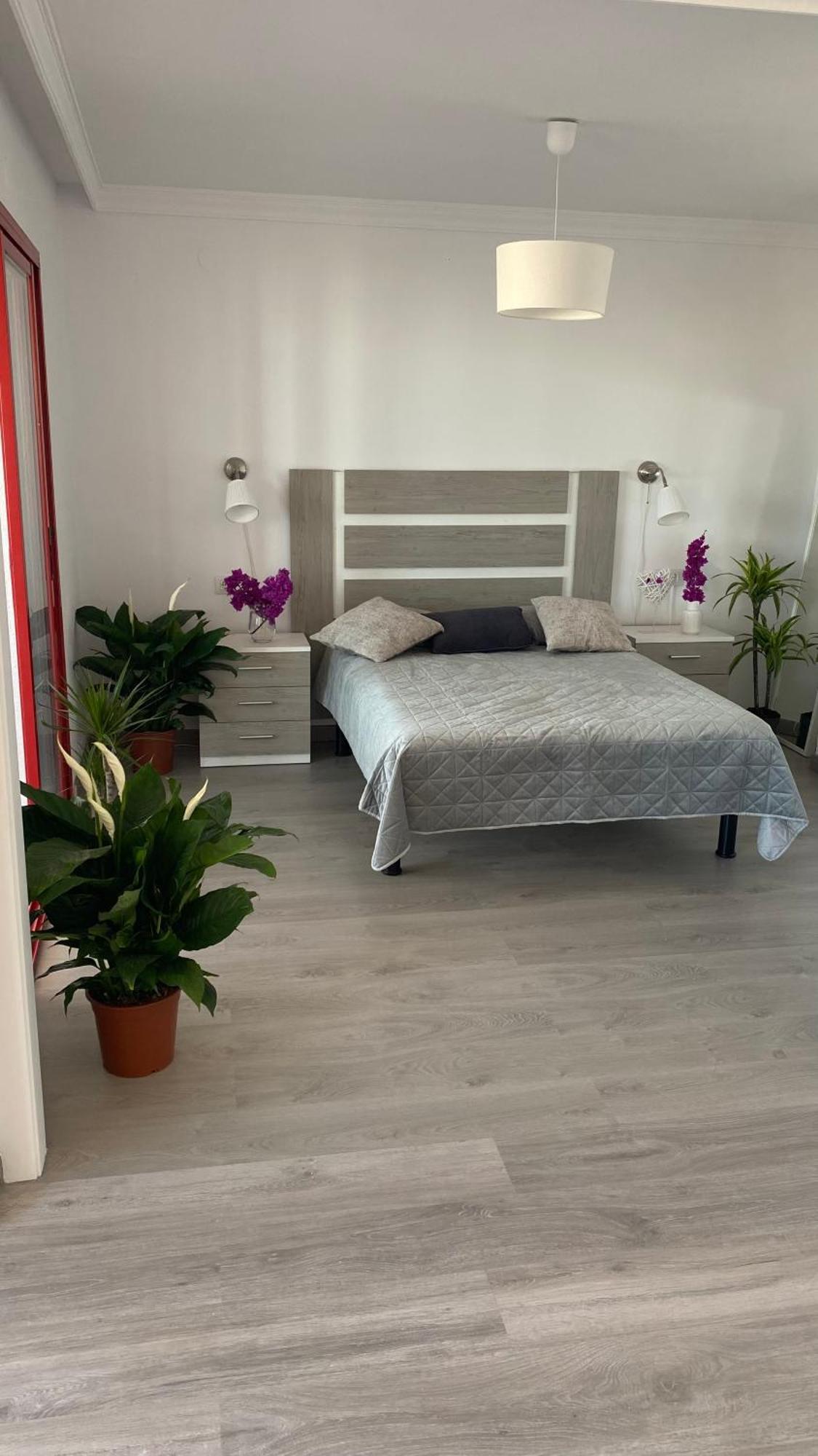 Apartment Anna 貝尼多姆 外观 照片